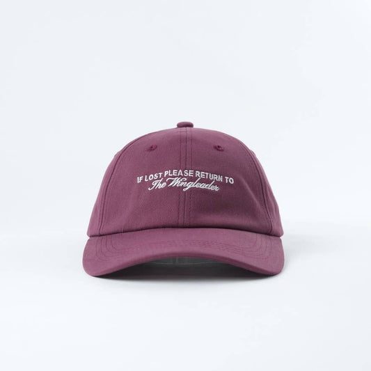 The Wingleader 📚 Bookish Baseball Hat